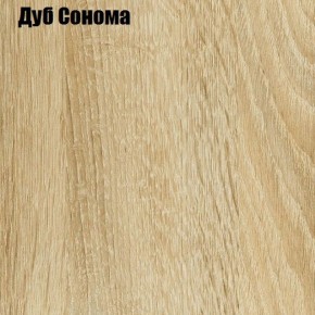 Шкаф-купе Лофт 1600 Шк16-47 (Дуб Сонома) в Серове - serov.ok-mebel.com | фото 4
