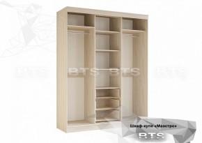 Шкаф-купе Маэстро (Ясень белый) в Серове - serov.ok-mebel.com | фото 3