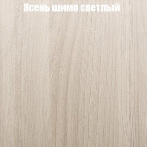 Шкаф-купе «ТАНДЕМ» 2-х дверный в алюминиевом профиле (Дверь К+К) 1200/h2200 в Серове - serov.ok-mebel.com | фото 6