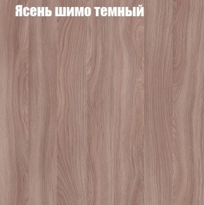 Шкаф-купе «ТАНДЕМ» 2-х дверный в алюминиевом профиле (Дверь К+К) 1200/h2200 в Серове - serov.ok-mebel.com | фото 7