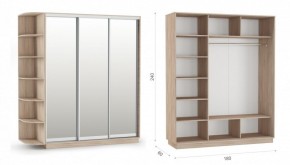 Шкаф-купе Тетрис 180/240 (ЗЗЗ) Дуб сонома в Серове - serov.ok-mebel.com | фото