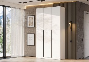 Шкаф платяной Даиго в Серове - serov.ok-mebel.com | фото 3