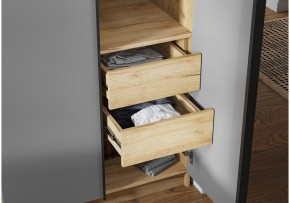 Шкаф платяной Широн в Серове - serov.ok-mebel.com | фото 3