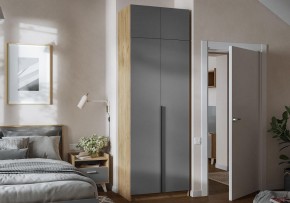 Шкаф платяной Широн в Серове - serov.ok-mebel.com | фото 4
