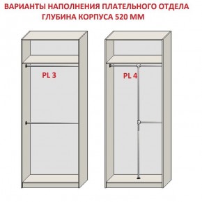 Шкаф распашной серия «ЗЕВС» (PL3/С1/PL2) в Серове - serov.ok-mebel.com | фото 10