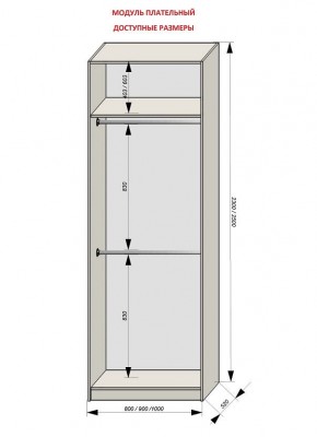 Шкаф распашной серия «ЗЕВС» (PL3/С1/PL2) в Серове - serov.ok-mebel.com | фото 12