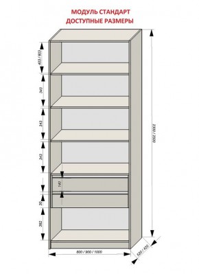 Шкаф распашной серия «ЗЕВС» (PL3/С1/PL2) в Серове - serov.ok-mebel.com | фото 13