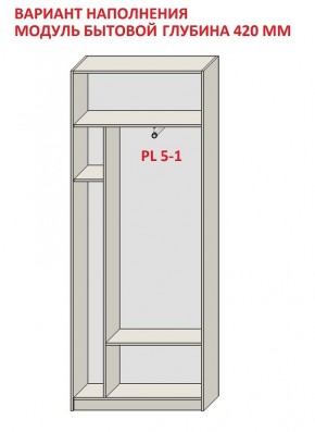 Шкаф распашной серия «ЗЕВС» (PL3/С1/PL2) в Серове - serov.ok-mebel.com | фото 4