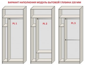 Шкаф распашной серия «ЗЕВС» (PL3/С1/PL2) в Серове - serov.ok-mebel.com | фото 5