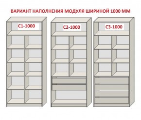 Шкаф распашной серия «ЗЕВС» (PL3/С1/PL2) в Серове - serov.ok-mebel.com | фото 7