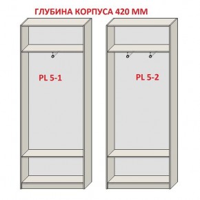 Шкаф распашной серия «ЗЕВС» (PL3/С1/PL2) в Серове - serov.ok-mebel.com | фото 8