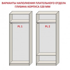 Шкаф распашной серия «ЗЕВС» (PL3/С1/PL2) в Серове - serov.ok-mebel.com | фото 9