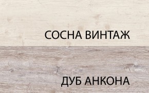 Шкаф с витриной 1V1D1S, MONAKO, цвет Сосна винтаж/дуб анкона в Серове - serov.ok-mebel.com | фото 3