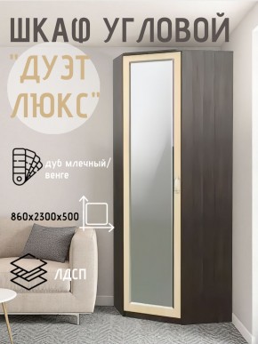 Шкаф угловой Дуэт Люкс с зеркалом в Серове - serov.ok-mebel.com | фото 5