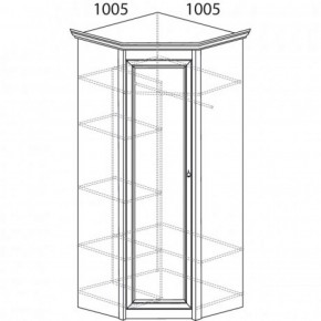 Шкаф угловой №662 "Флоренция" Фасад глухой (угол 1005*1005) Дуб оксфорд в Серове - serov.ok-mebel.com | фото 3