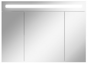 Шкаф-зеркало Аврора 100 с подсветкой LED Домино (DV8012HZ) в Серове - serov.ok-mebel.com | фото 1