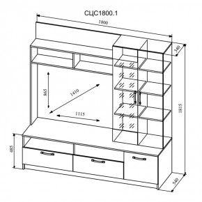 СОФИ Гостиная (модульная) дуб сонома/белый глянец в Серове - serov.ok-mebel.com | фото 9