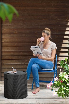 Столик-холодильник Кул-Стул (Cool stool) графит в Серове - serov.ok-mebel.com | фото