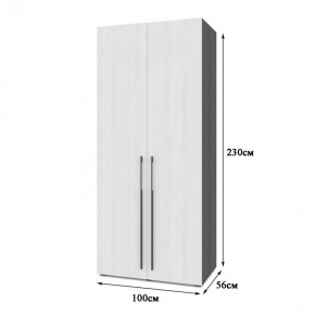 СТОУН С22 Шкаф 2-х створчатый (золотой дуб/графит) в Серове - serov.ok-mebel.com | фото 2