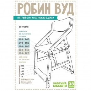 Стул растущий «Робин Wood» 38 Попугаев (Аква) в Серове - serov.ok-mebel.com | фото 5