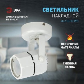 Светильник на штанге Эра OL2 GU10 WH Б0044259 в Серове - serov.ok-mebel.com | фото 3