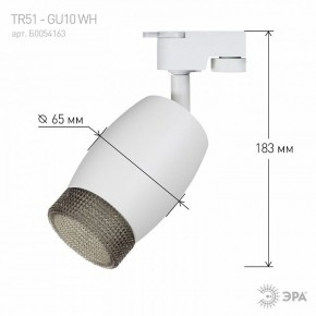 Светильник на штанге Эра  TR51 - GU10 WH в Серове - serov.ok-mebel.com | фото 4