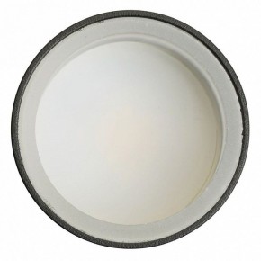 Светильник на штанге Feron ML1001 51371 в Серове - serov.ok-mebel.com | фото 4