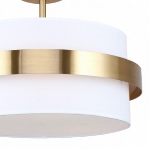 Светильник на штанге Freya Bride FR5367CL-03BS в Серове - serov.ok-mebel.com | фото 3