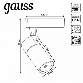 Светильник на штанге Gauss Track Light TR060 в Серове - serov.ok-mebel.com | фото 5