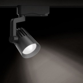 Светильник на штанге Gauss Track Light TR061 в Серове - serov.ok-mebel.com | фото 2