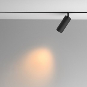 Светильник на штанге Maytoni Artisan TR097-2-12W2.7K-M-BB в Серове - serov.ok-mebel.com | фото 4