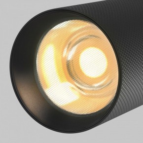 Светильник на штанге Maytoni Artisan TR097-2-12W2.7K-M-BB в Серове - serov.ok-mebel.com | фото 9
