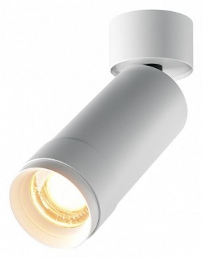Светильник на штанге Maytoni Focus Zoom C055CL-L12W2.7K-Z-W в Серове - serov.ok-mebel.com | фото