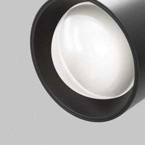 Светильник на штанге Maytoni Lens TR217-2-15W4K-B в Серове - serov.ok-mebel.com | фото 10