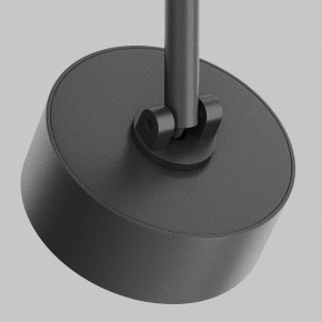 Светильник на штанге Maytoni Lens TR217-2-15W4K-B в Серове - serov.ok-mebel.com | фото 9