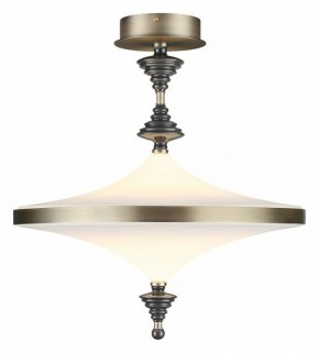 Светильник на штанге Odeon Light Ula 5404/43CL в Серове - serov.ok-mebel.com | фото 2