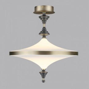 Светильник на штанге Odeon Light Ula 5404/43CL в Серове - serov.ok-mebel.com | фото 3
