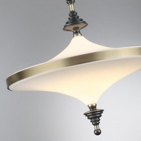 Светильник на штанге Odeon Light Ula 5404/43CL в Серове - serov.ok-mebel.com | фото 6