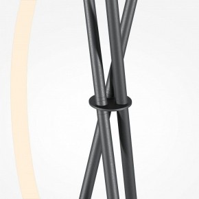 Торшер Maytoni Crochet MOD369FL-L36B3K в Серове - serov.ok-mebel.com | фото 8