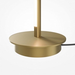 Торшер Maytoni Thin MOD395FL-L28BS3K в Серове - serov.ok-mebel.com | фото 7