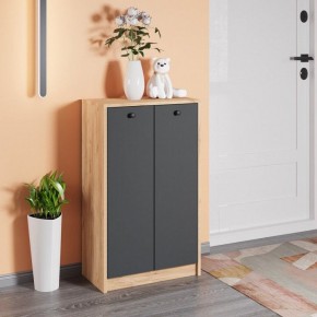 Тумба для обуви Рино в Серове - serov.ok-mebel.com | фото 3