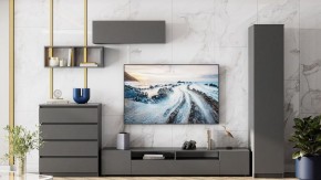 Тумба под ТВ Сибити в Серове - serov.ok-mebel.com | фото 3